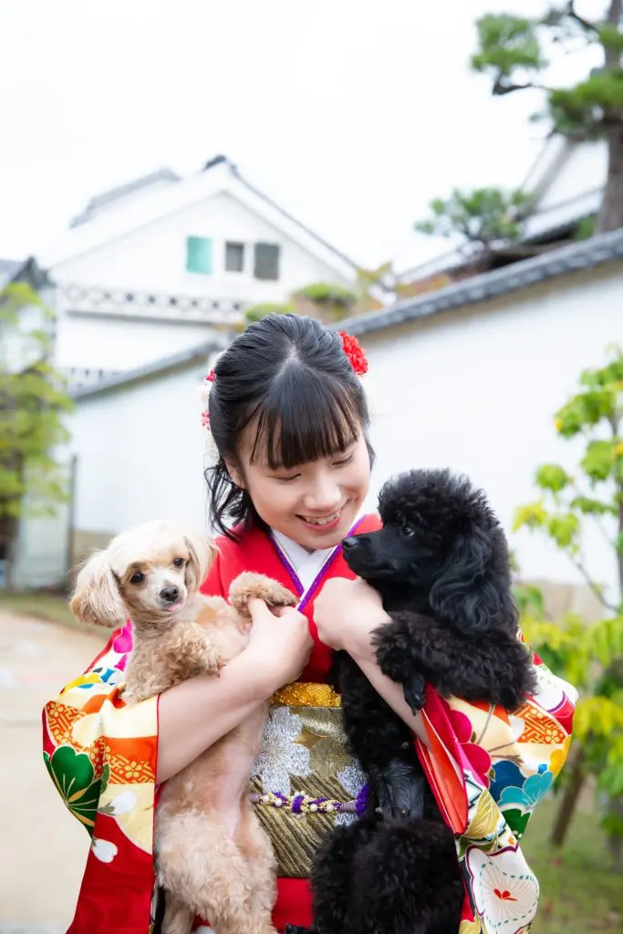 愛犬と前撮り撮影会