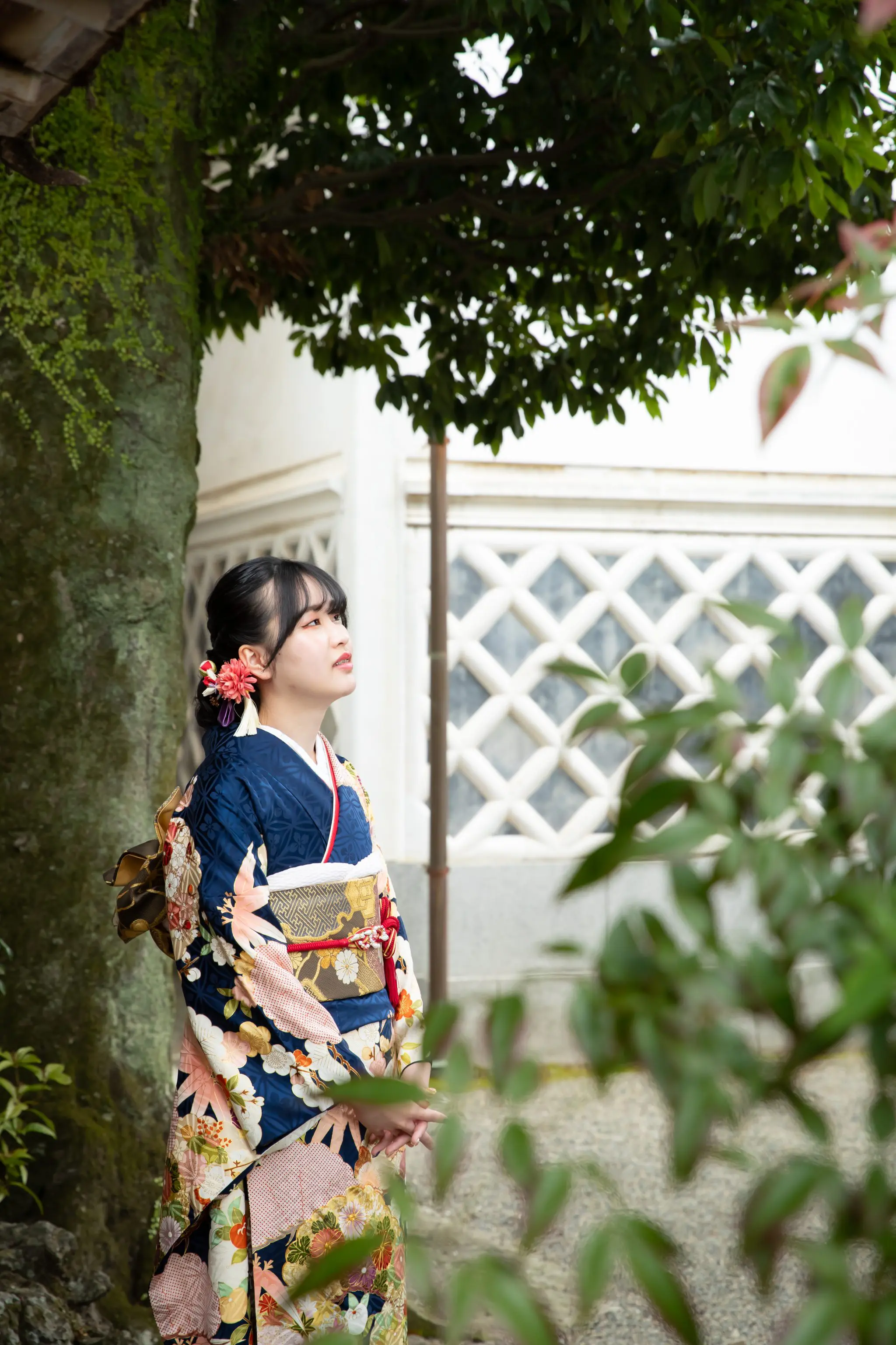 日本庭園で青の振袖を着て空を見上げる女性